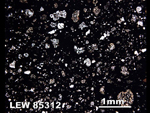 Thin Section Photo of Sample LEW 85312 in Plane-Polarized Light