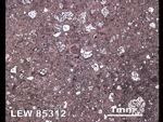 Thin Section Photo of Sample LEW 85312 in Reflected Light