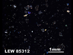 Thin Section Photo of Sample LEW 85312 in Cross-Polarized Light