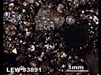 Thin Section Photograph of Sample LEW 93891 in Plane-Polarized Light