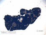 Thin Section Photo of Sample MAC 02528 in Plane-Polarized Light with 5X Magnification