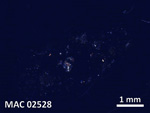 Thin Section Photo of Sample MAC 02528 in Cross-Polarized Light with 5X Magnification