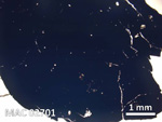 Thin Section Photo of Sample MAC 02701 in Plane-Polarized Light with  Magnification
