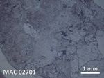 Thin Section Photo of Sample MAC 02701 in Reflected Light with  Magnification