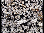 Thin Section Photograph of Sample MIL 03346 in Plane-Polarized Light
