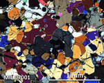 Thin Section Photograph of Sample MIL 07001 in Cross-Polarized Light