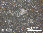 Thin Section Photo of Sample MIL 07028 at 2.5X Magnification in Plane-Polarized Light