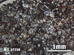 Thin Section Photo of Sample MIL 07259 at 2.5X Magnification in Plane-Polarized Light