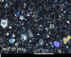 Thin Section Photo of Sample MIL 07304 in Cross-Polarized Light with 2.5x Magnification