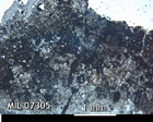 Thin Section Photo of Sample MIL 07305 in Plane-Polarized Light with 2.5x Magnification