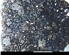 Thin Section Photo of Sample MIL 07311 in Plane-Polarized Light with 2.5x Magnification