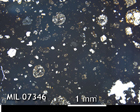 Thin Section Photo of Sample MIL 07346 in Plane-Polarized Light with 2.5x Magnification