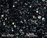 MIL 07560 Meteorite Thin Section Photo with 2.5x magnification in Cross-Polarized Light