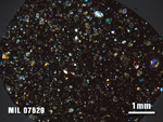 Thin Section Photo of Sample MIL 07629 at 1.25X Magnification in Cross-Polarized Light