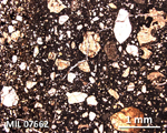 Thin Section Photograph of Sample MIL 07662 in Plane-Polarized Light