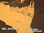 Thin Section Photo of Sample MIL 090002 at 2.5X Magnification in Reflected Light