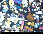 Thin Section Photo of Sample MIL 090030 in Cross-Polarized Light with 2.5x Magnification