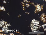 Thin Section Photo of Sample MIL 090031 in Plane-Polarized Light with 2.5X Magnification