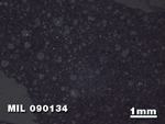 Thin Section Photo of Sample MIL 090134 in Reflected Light with 1.25X Magnification