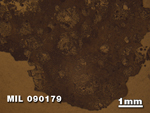 Thin Section Photo of Sample MIL 090179 at 1.25X Magnification in Reflected Light