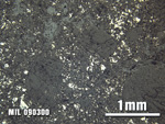 Thin Section Photo of Sample MIL 090300 at 2.5X Magnification in Reflected Light