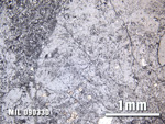 Thin Section Photo of Sample MIL 090330 at 2.5X Magnification in Reflected Light