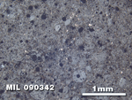 Thin Section Photo of Sample MIL 090342 at 2.5X Magnification in Reflected Light