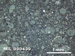 Thin Section Photo of Sample MIL 090439 at 2.5X Magnification in Reflected Light