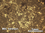 Thin Section Photo of Sample MIL 090441 in Reflected Light with 2.5X Magnification