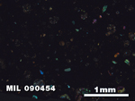Thin Section Photo of Sample MIL 090454 in Cross-Polarized Light with 2.5X Magnification