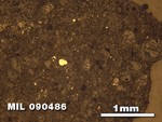 Thin Section Photo of Sample MIL 090486 at 2.5X Magnification in Reflected Light