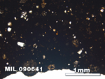 Thin Section Photo of Sample MIL 090641 in Plane-Polarized Light with 2.5X Magnification