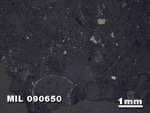 Thin Section Photo of Sample MIL 090650 in Reflected Light with 1.25X Magnification