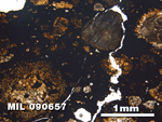 Thin Section Photo of Sample MIL 090657 in Plane-Polarized Light with 2.5X Magnification