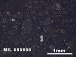 Thin Section Photo of Sample MIL 090699 in Reflected Light with 2.5X Magnification
