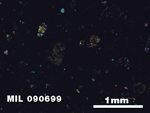 Thin Section Photo of Sample MIL 090699 in Cross-Polarized Light with 2.5X Magnification