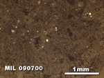 Thin Section Photo of Sample MIL 090700 in Reflected Light with 2.5X Magnification