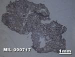 Thin Section Photo of Sample MIL 090717 at 1.25X Magnification in Reflected Light