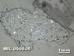 Thin Section Photo of Sample MIL 090805 at 1.25X Magnification in Reflected Light