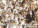Thin Section Photo of Sample MIL 090963 in Plane-Polarized Light with 2.5X Magnification