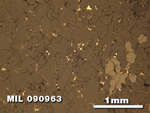 Thin Section Photo of Sample MIL 090963 in Reflected Light with 2.5X Magnification