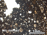 Thin Section Photo of Sample MIL 090983 in Plane-Polarized Light with 2.5X Magnification