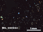 Thin Section Photo of Sample MIL 090983 in Cross-Polarized Light with 2.5X Magnification