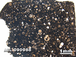 Thin Section Photo of Sample MIL 090988 in Plane-Polarized Light with 1.25X Magnification