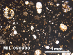 Thin Section Photo of Sample MIL 090988 in Plane-Polarized Light with 2.5X Magnification