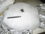 Lab Photo of Sample MIL 091010 Encased in Ice Block