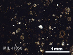 Thin Section Photo of Sample MIL 11050 in Plane-Polarized Light with 2.5x Magnification