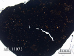 Thin Section Photo of Sample MIL 11073 in Plane-Polarized Light with 1.25x Magnification