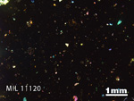 Thin Section Photo of Sample MIL 11120 in Cross-Polarized Light with 1.25x Magnification