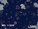 Thin Section Photo of Sample MIL 11206 in Plane-Polarized Light with 1.25X Magnification